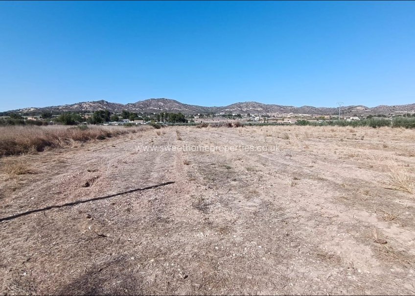 Herverkoop - Plot - Aspe - Alcaná