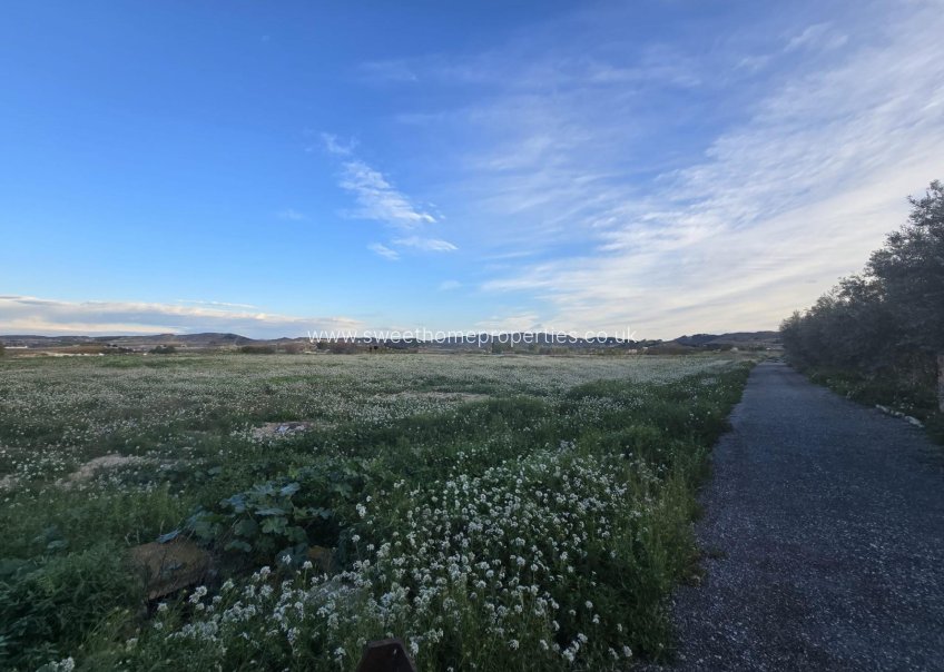 Herverkoop - Plot - Aspe - Pedanías Este
