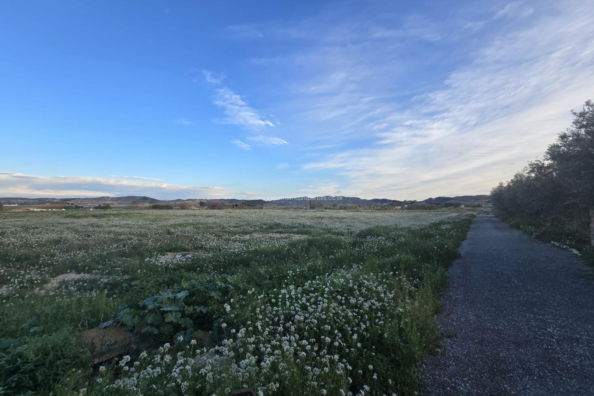 Herverkoop - Plot - Aspe - Pedanías Este