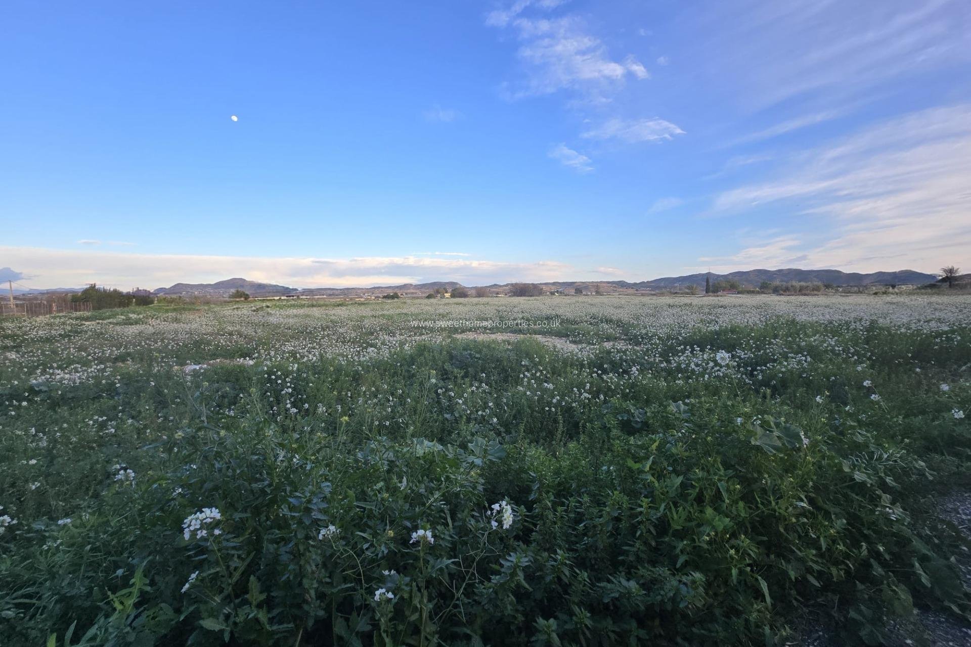 Herverkoop - Plot - Aspe - Pedanías Este