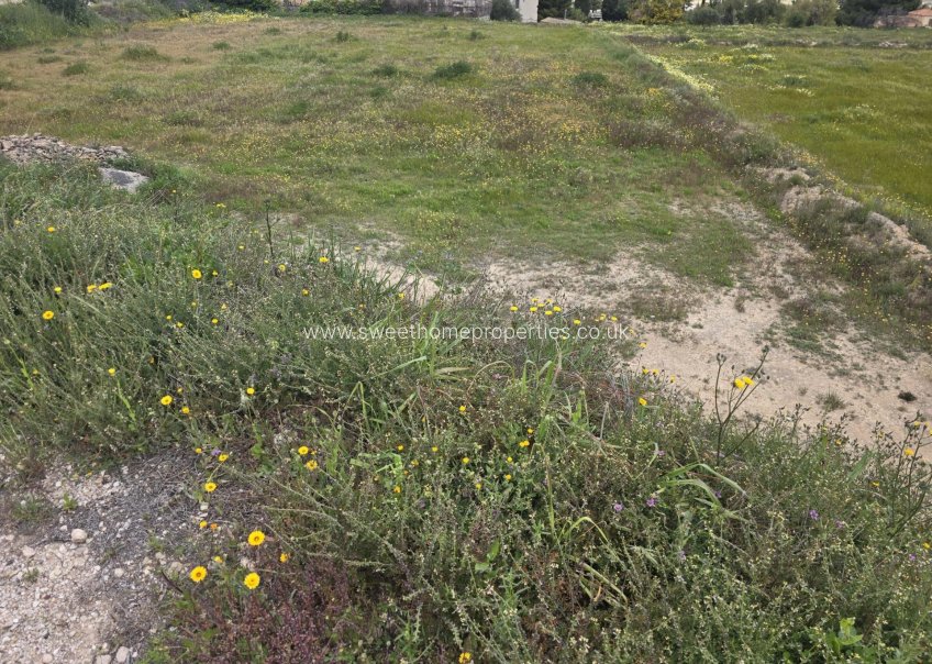 Herverkoop - Plot - Aspe - Pedanías Este