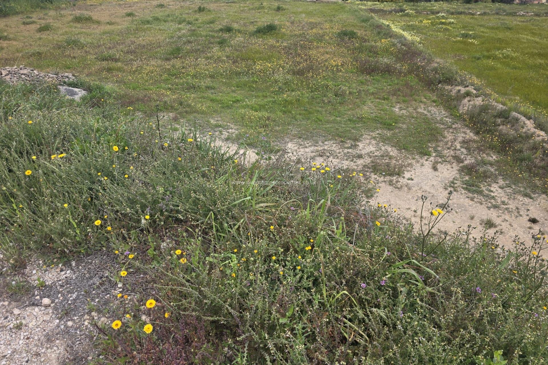 Herverkoop - Plot - Aspe - Pedanías Este