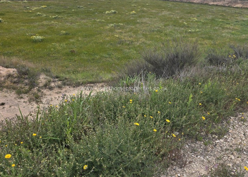 Herverkoop - Plot - Aspe - Pedanías Este