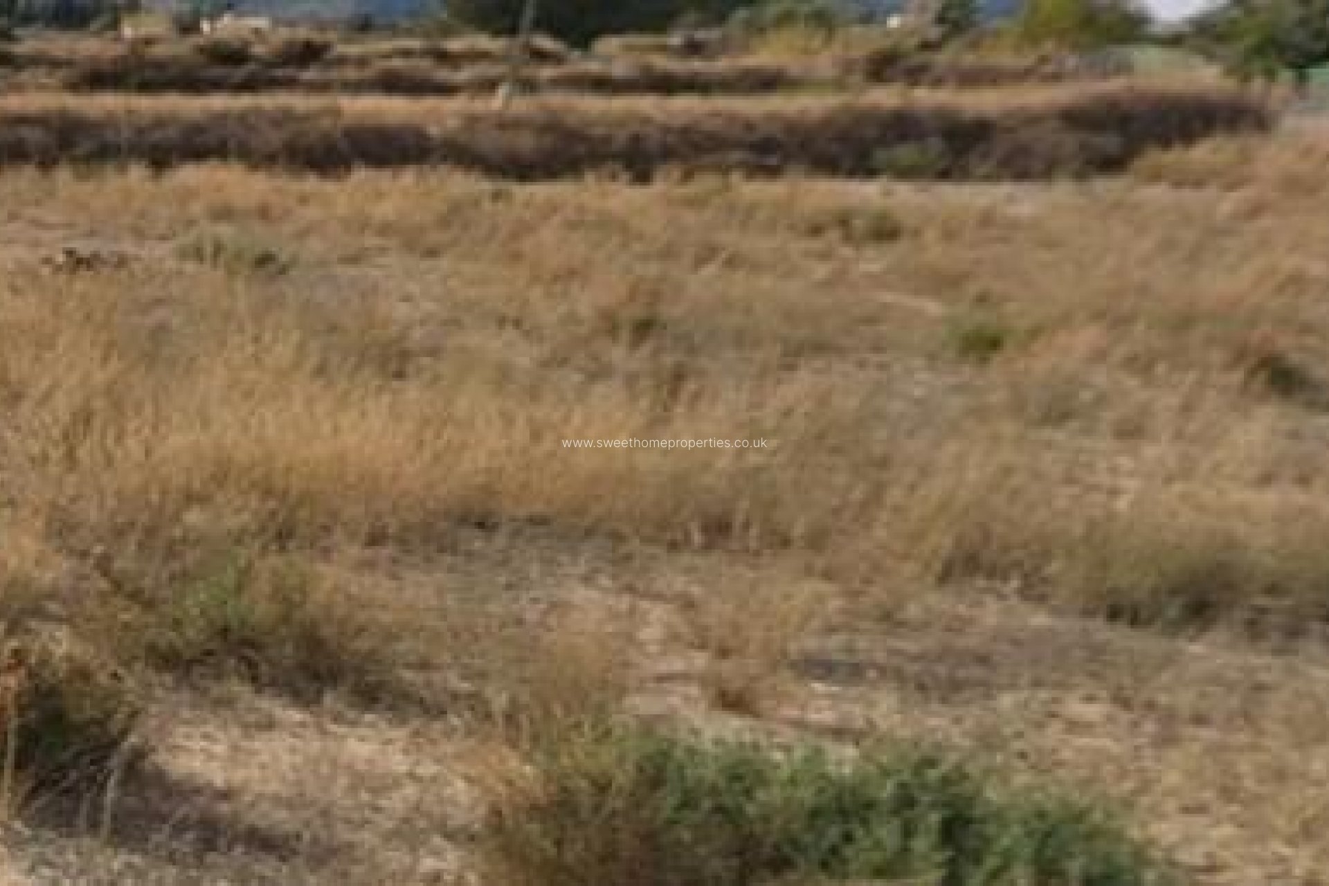 Herverkoop - Plot - Aspe pedanias - Pedanías Este