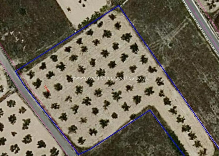 Herverkoop - Plot - Aspe - Tres Hermanas