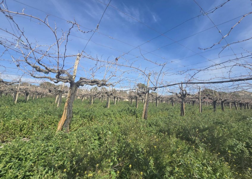 Herverkoop - Plot - Aspe