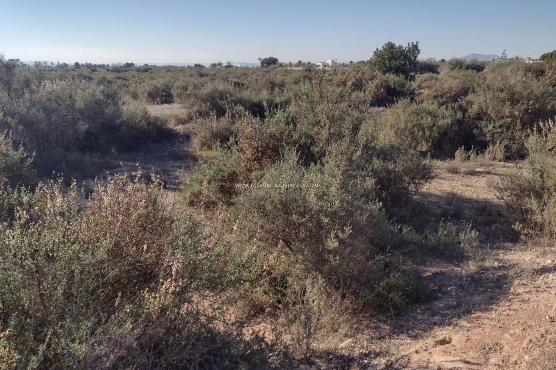 Herverkoop - Plot - Elche pedanias - Llano de san jose