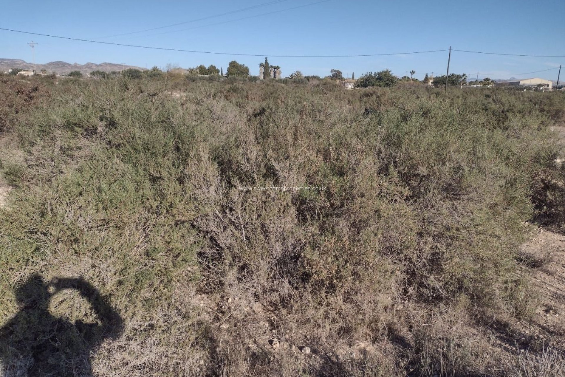 Herverkoop - Plot - Elche pedanias - Llano de san jose