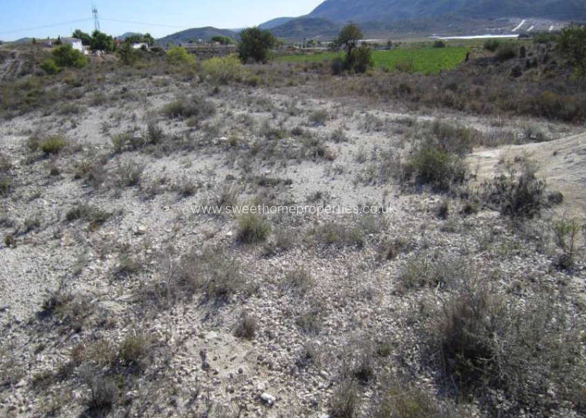 Herverkoop - Plot - Hondon De Las Nieves - canalosa