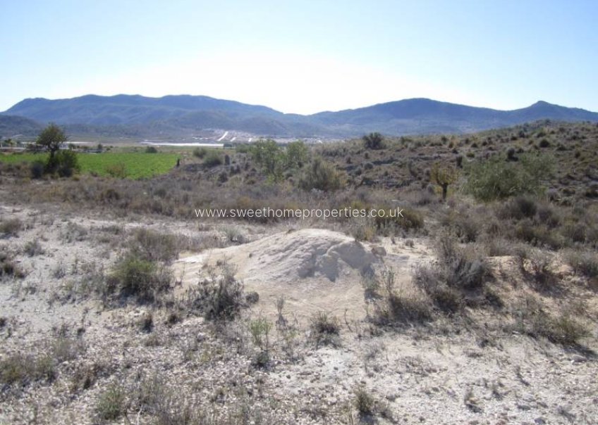 Herverkoop - Plot - Hondon De Las Nieves - canalosa