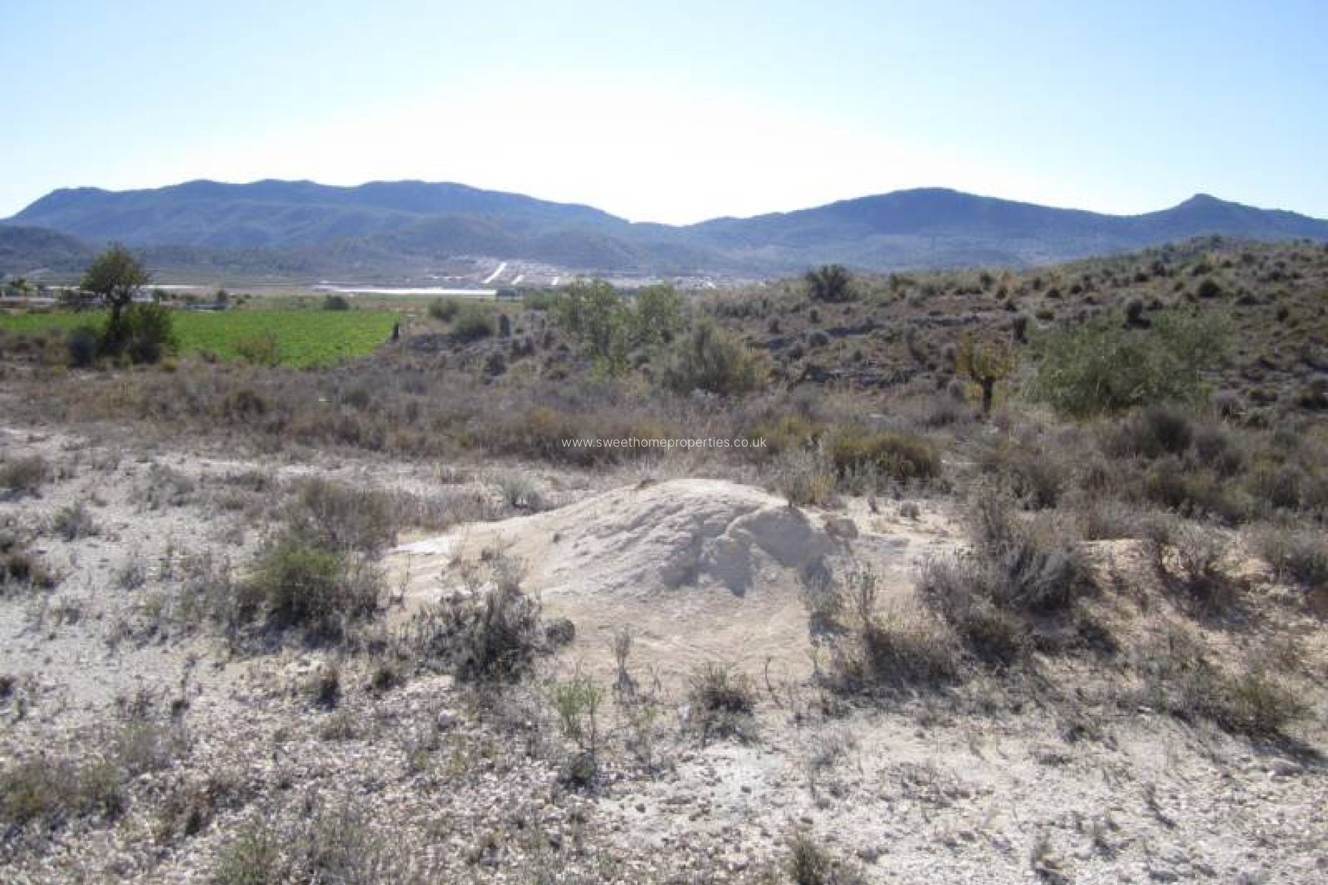 Herverkoop - Plot - Hondon De Las Nieves - canalosa