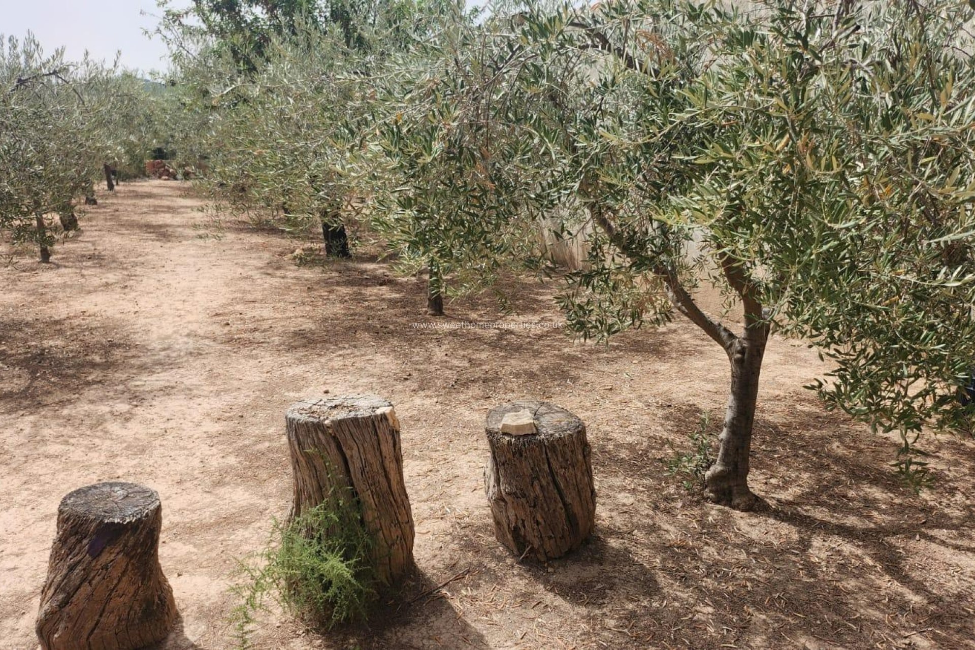 Herverkoop - Plot - Hondon De Las Nieves - Comunidad valenciana