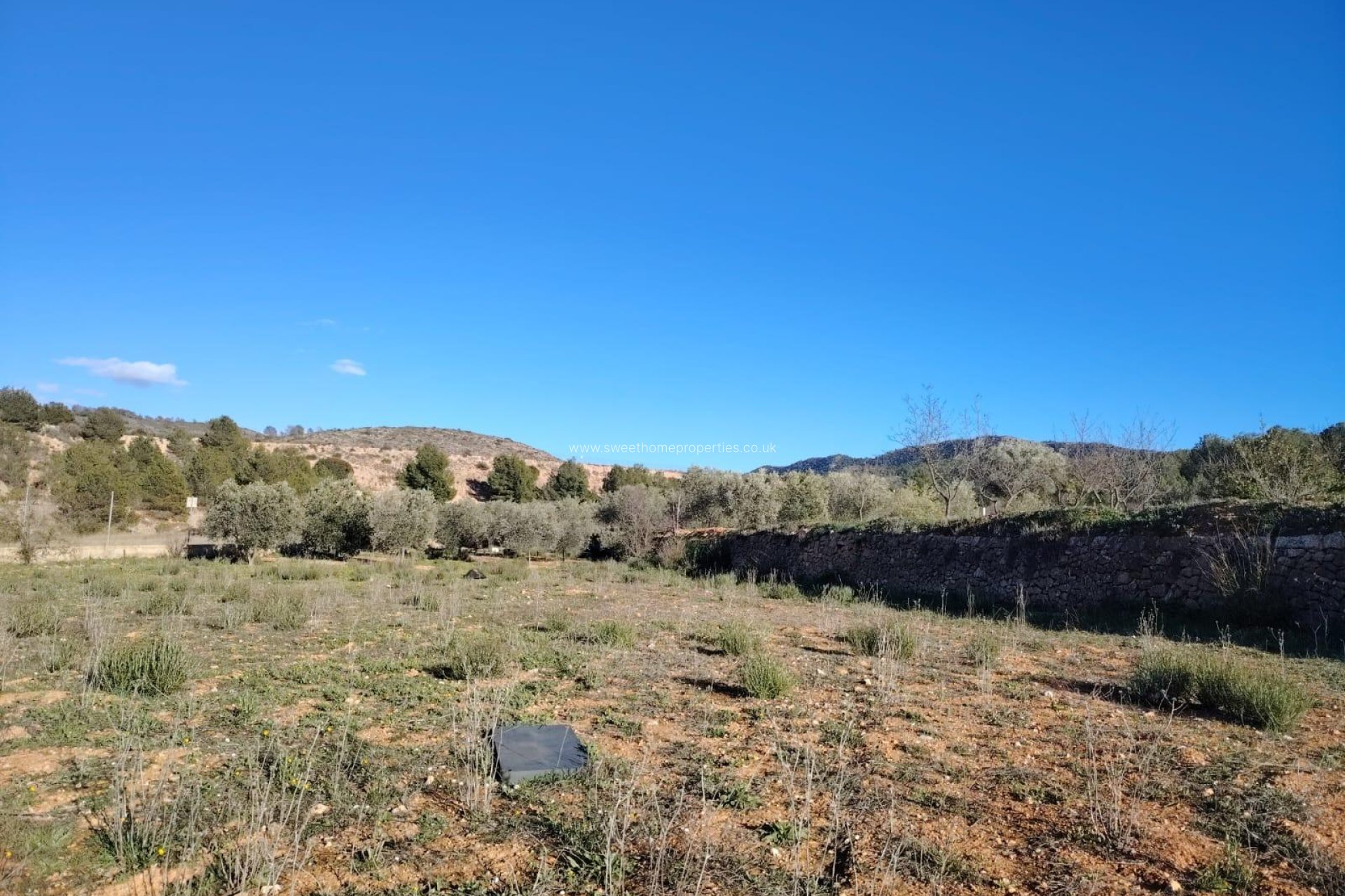 Herverkoop - Plot - Hondon De Las Nieves - Comunidad valenciana