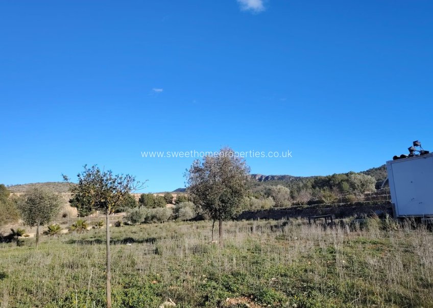 Herverkoop - Plot - Hondon De Las Nieves - Comunidad valenciana