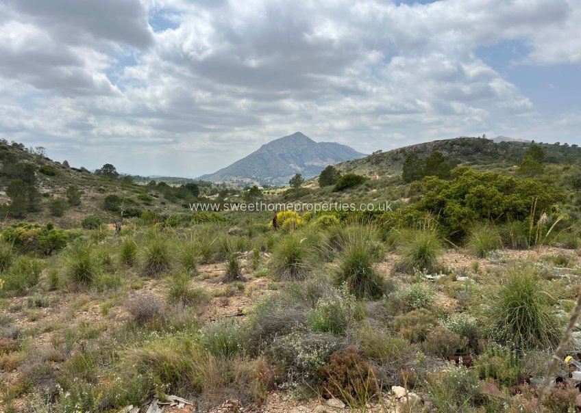 Herverkoop - Plot - Hondon De Las Nieves - HONDON DE LAS NIEVES