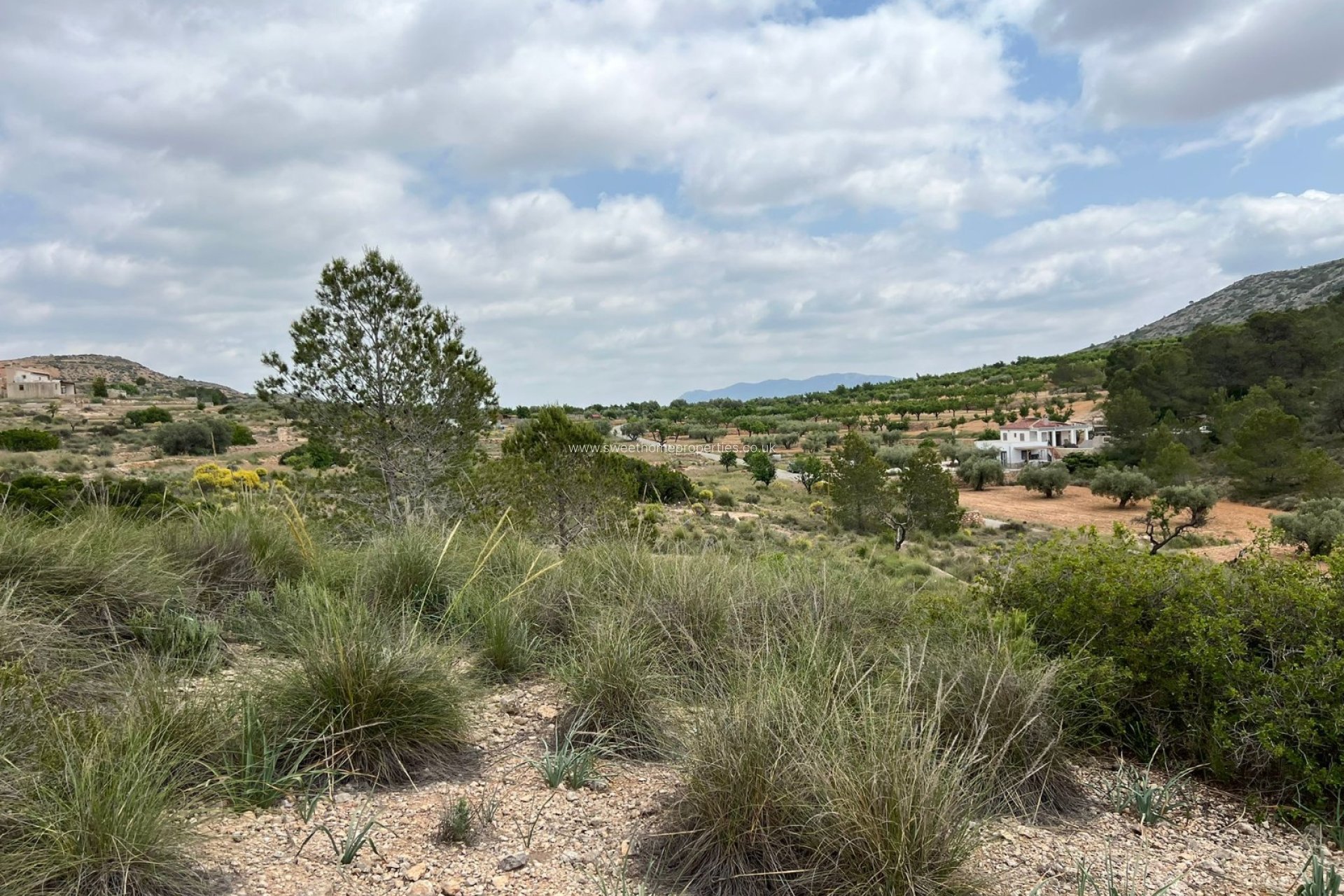 Herverkoop - Plot - Hondon De Las Nieves - HONDON DE LAS NIEVES
