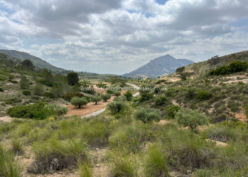 Herverkoop - Plot - Hondon De Las Nieves - HONDON DE LAS NIEVES