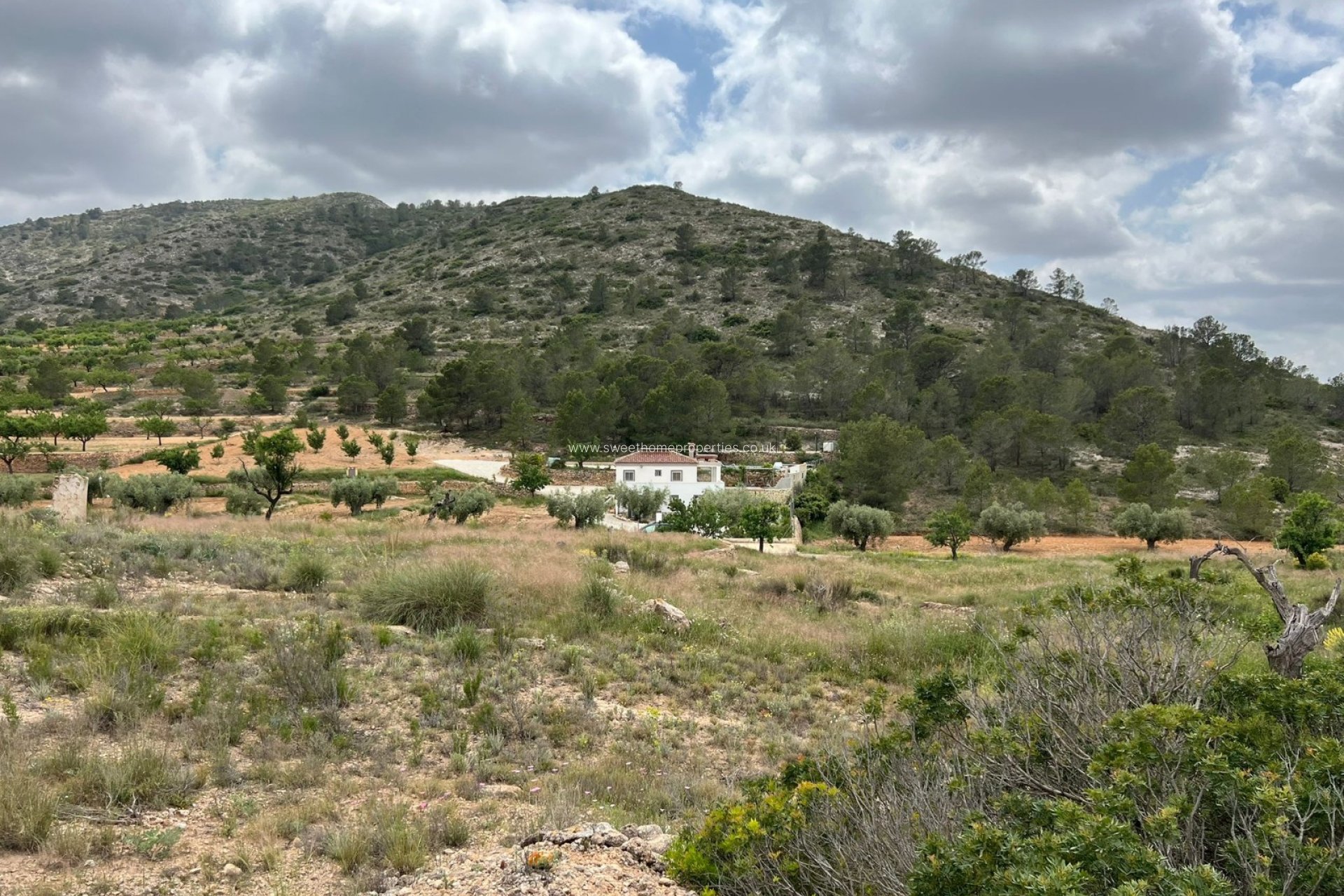 Herverkoop - Plot - Hondon De Las Nieves - HONDON DE LAS NIEVES