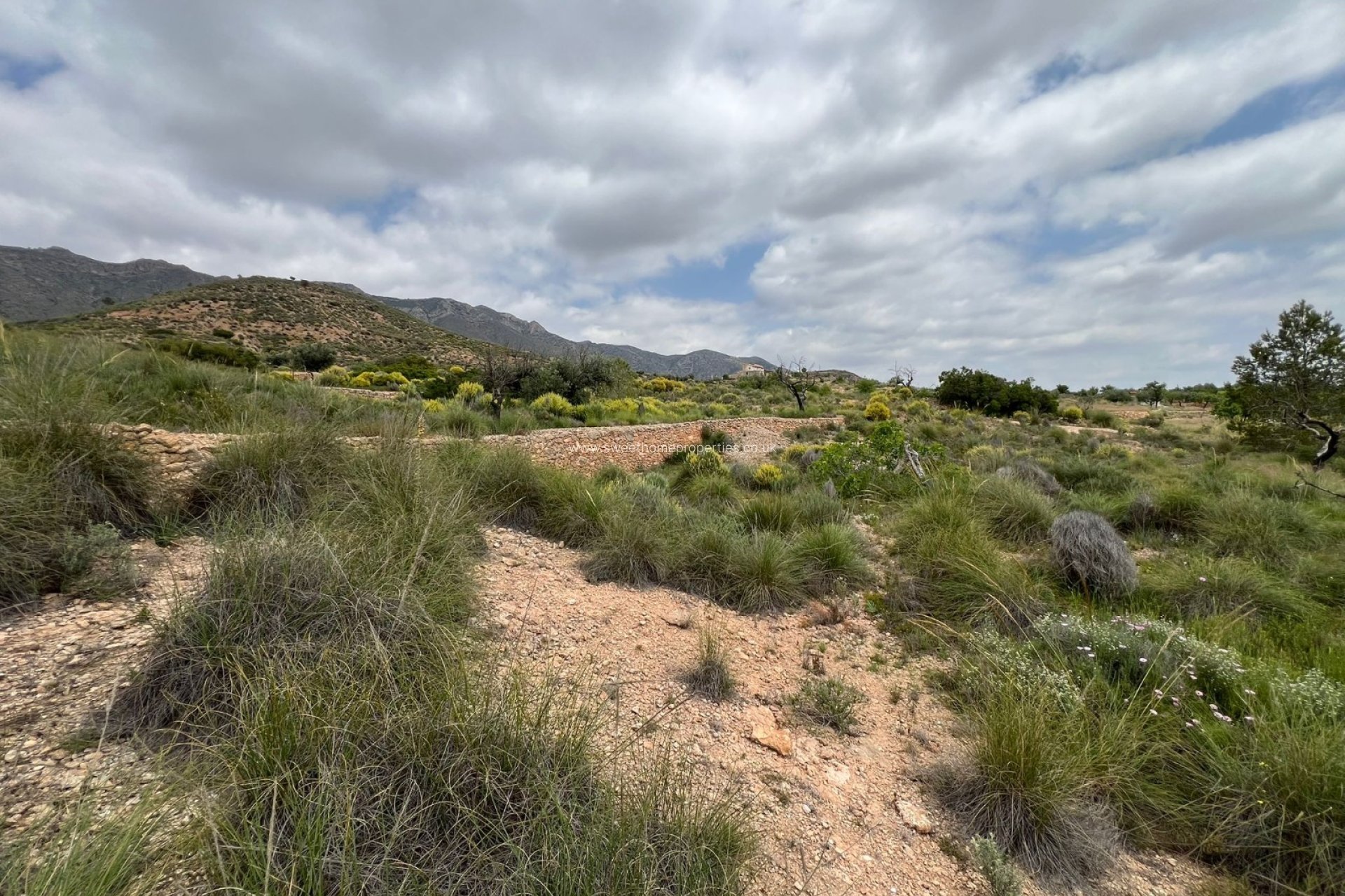 Herverkoop - Plot - Hondon De Las Nieves - HONDON DE LAS NIEVES