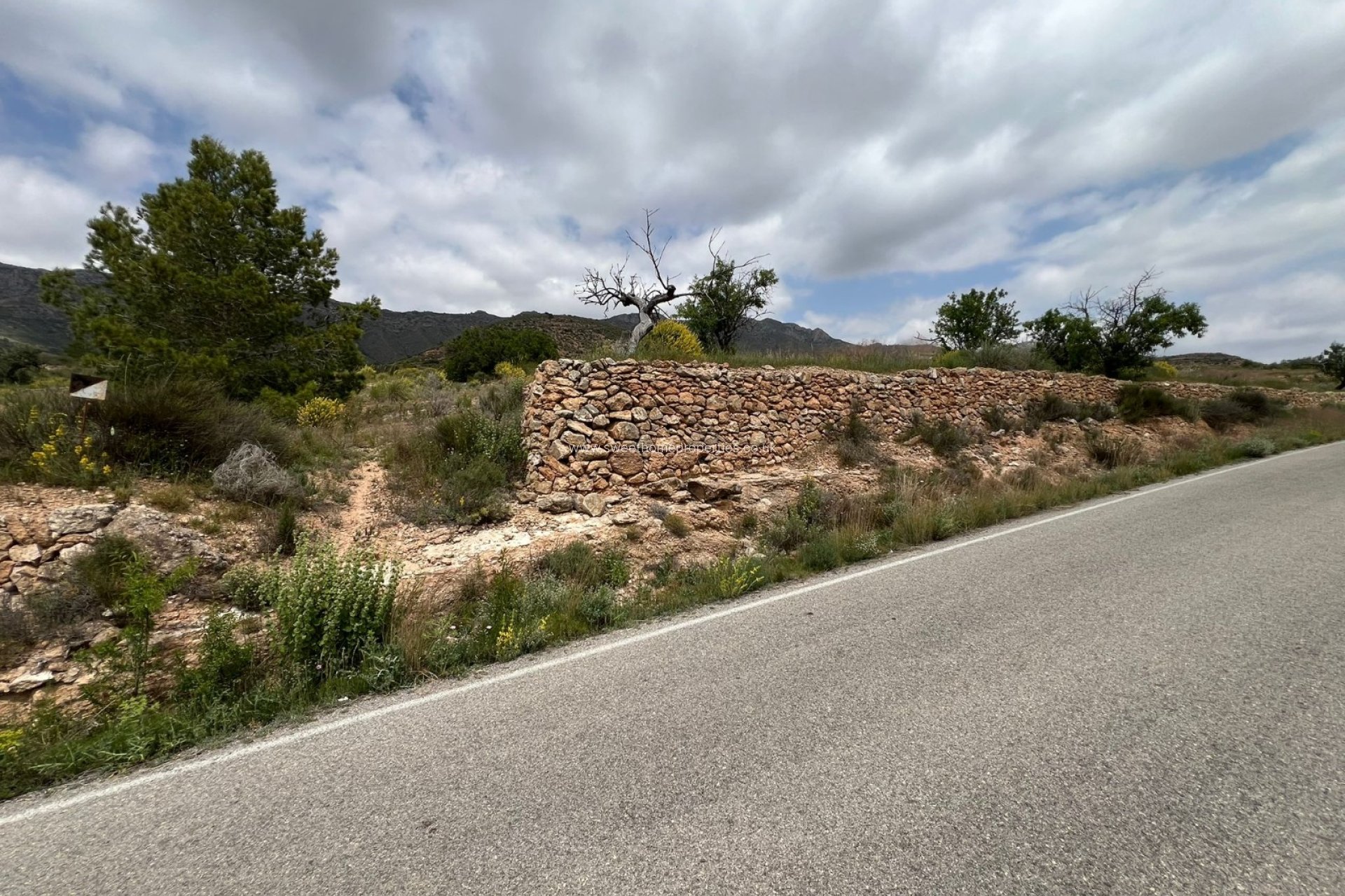 Herverkoop - Plot - Hondon De Las Nieves - HONDON DE LAS NIEVES