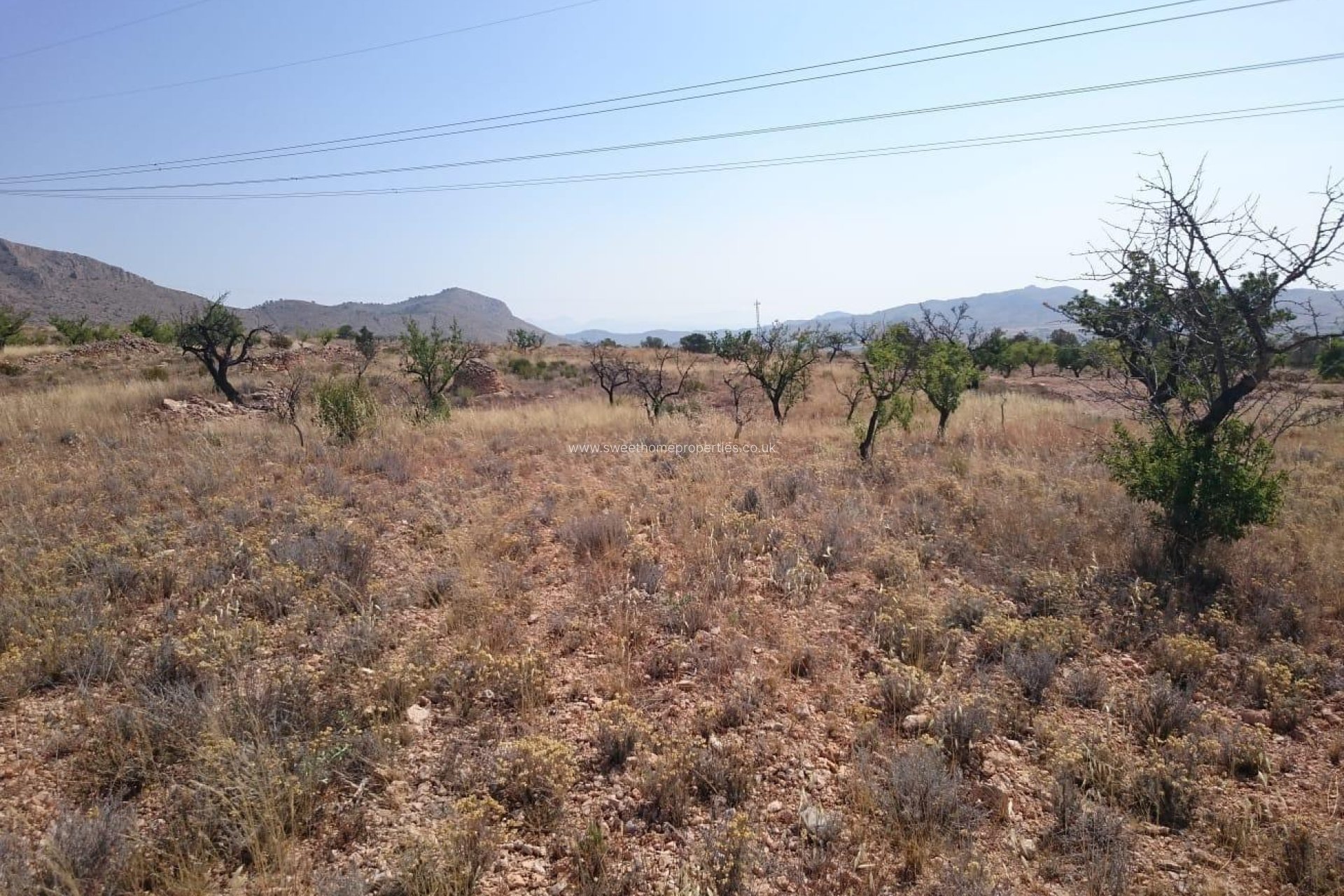 Herverkoop - Plot - Hondon De Las Nieves - LA CANALOSA