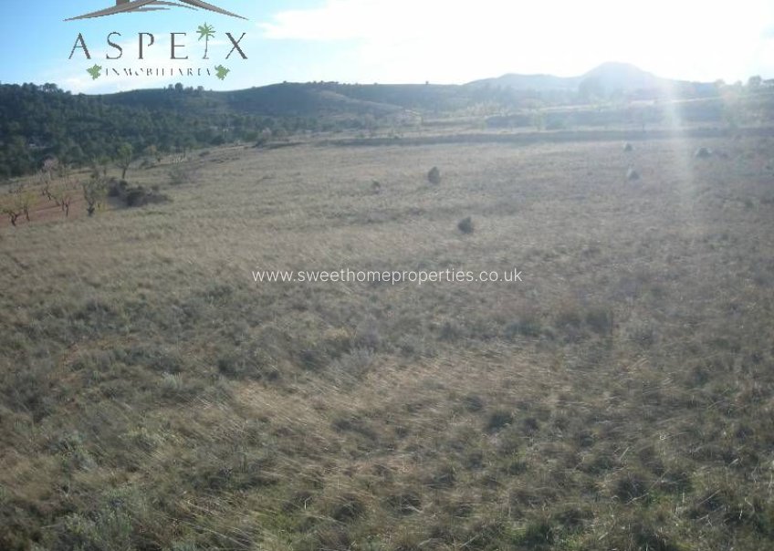 Herverkoop - Plot - Hondon De Las Nieves - La solana