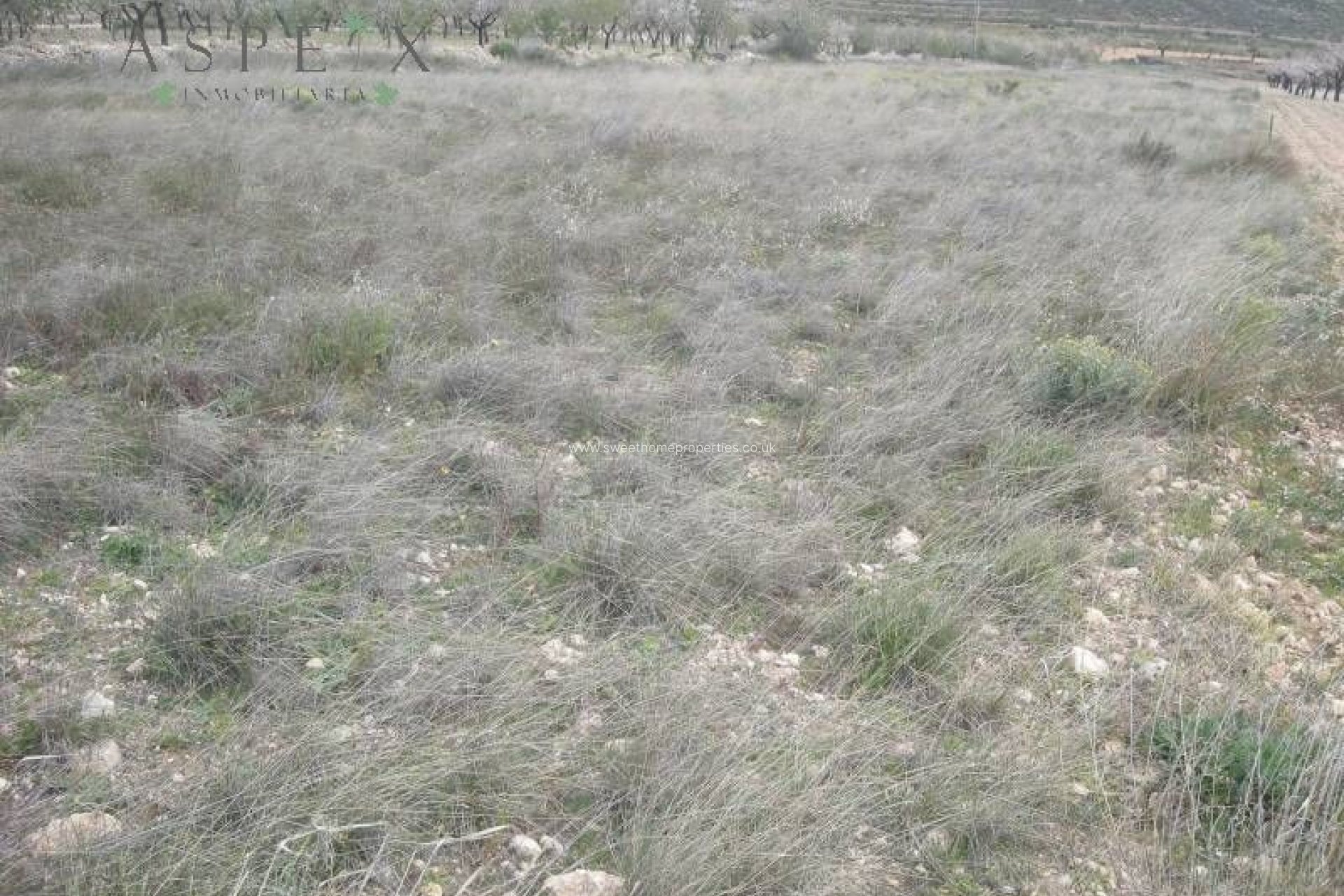 Herverkoop - Plot - Hondon De Las Nieves - La solana