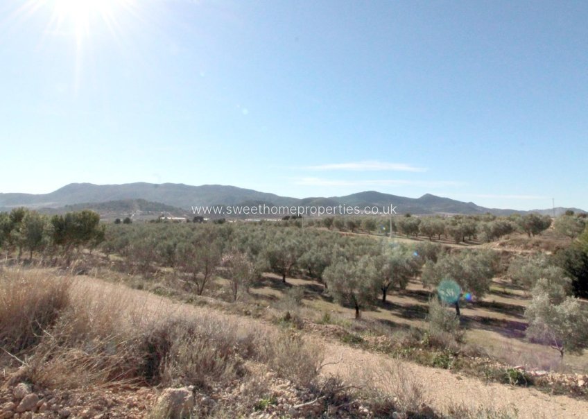 Herverkoop - Plot - Hondon De Las Nieves - La solana