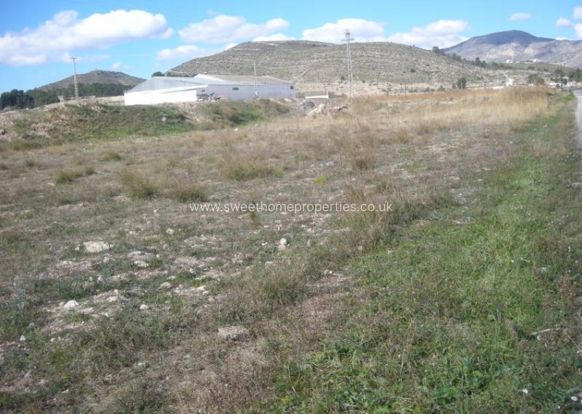 Herverkoop - Plot - Hondon De Las Nieves - Pueblo