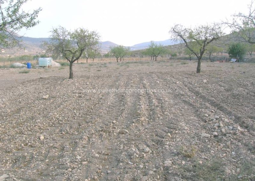 Herverkoop - Plot - Hondon De Las Nieves - REBALSO