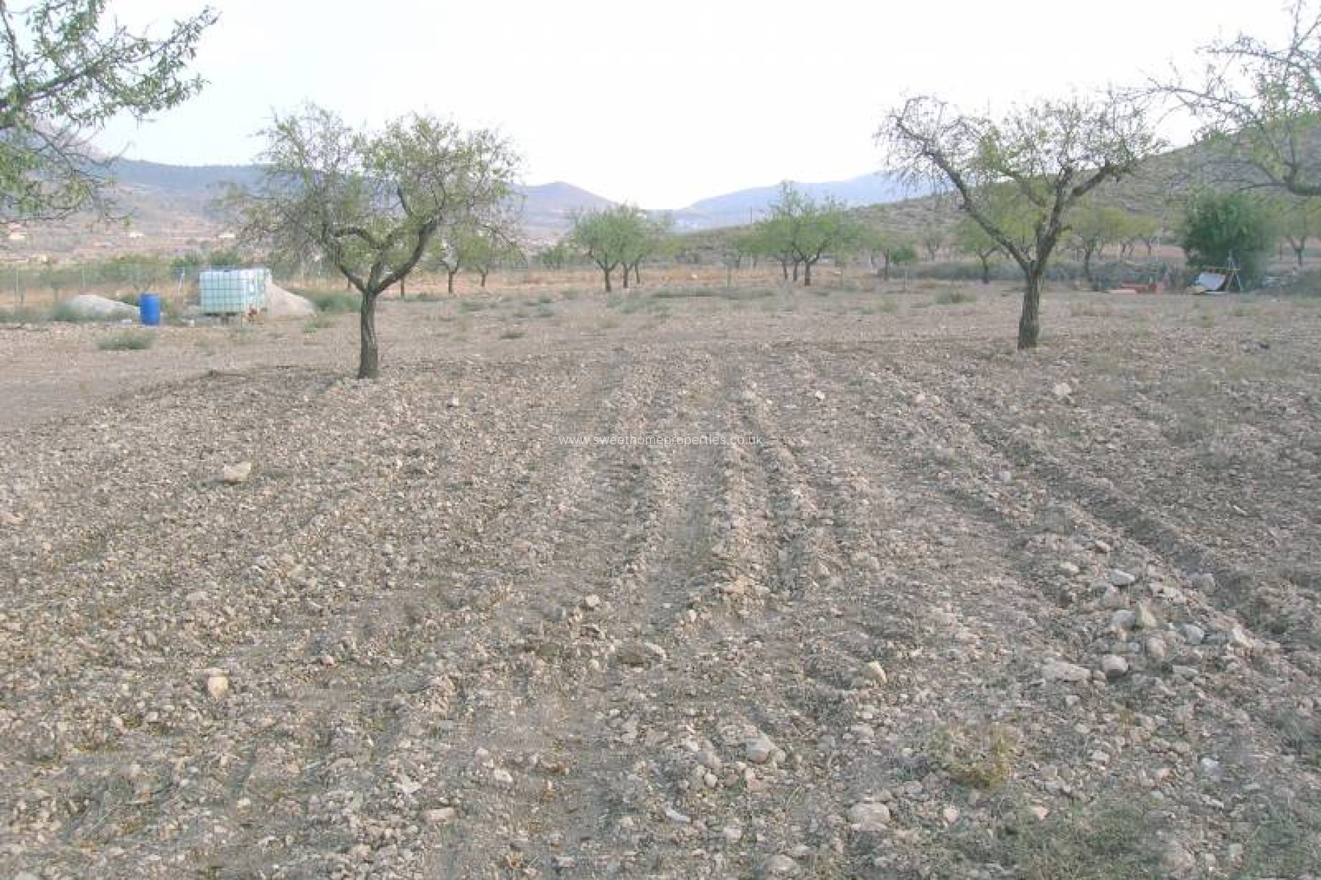 Herverkoop - Plot - Hondon De Las Nieves - REBALSO