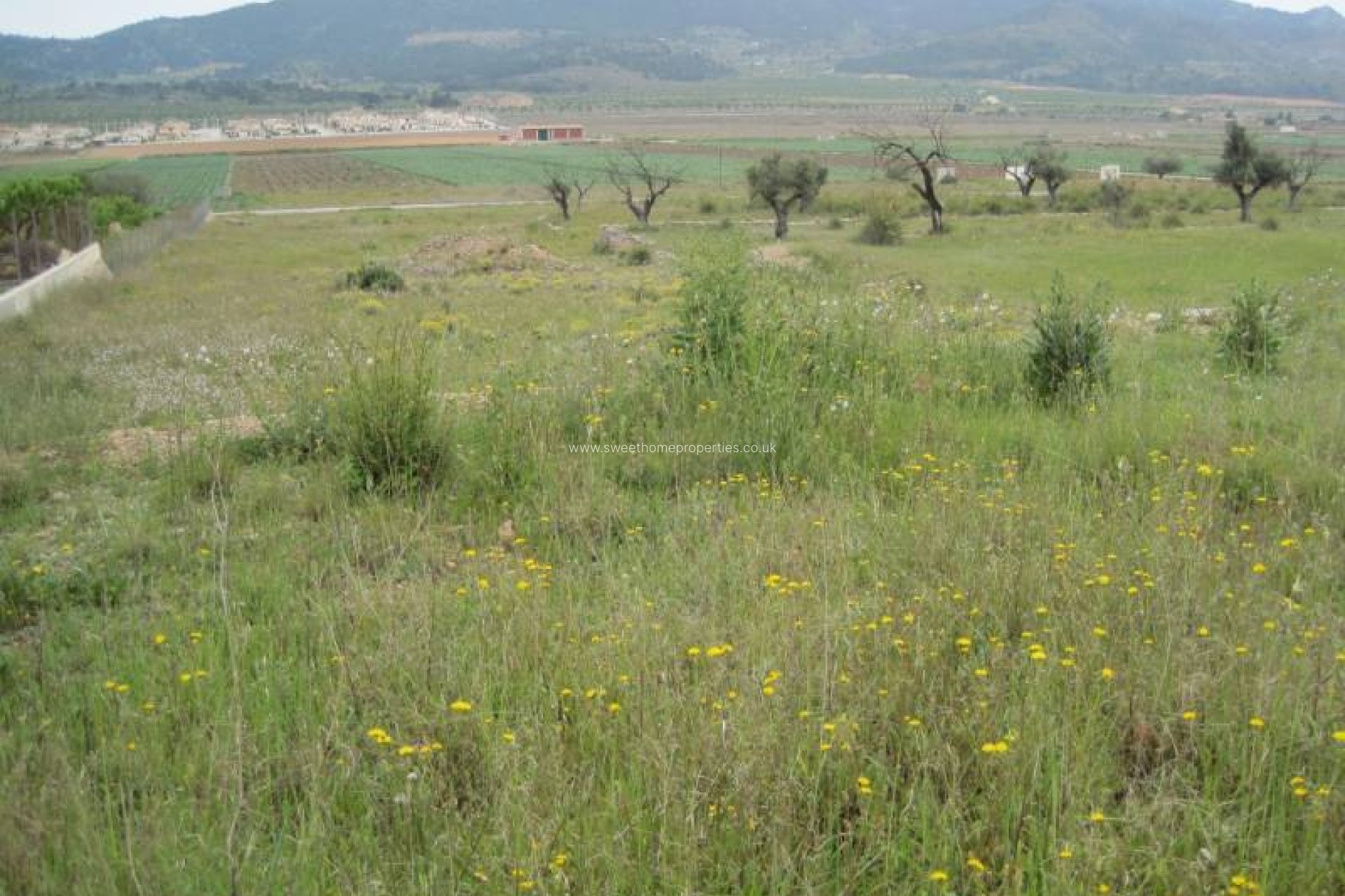 Herverkoop - Plot - Hondon De Las Nieves - REBALSO