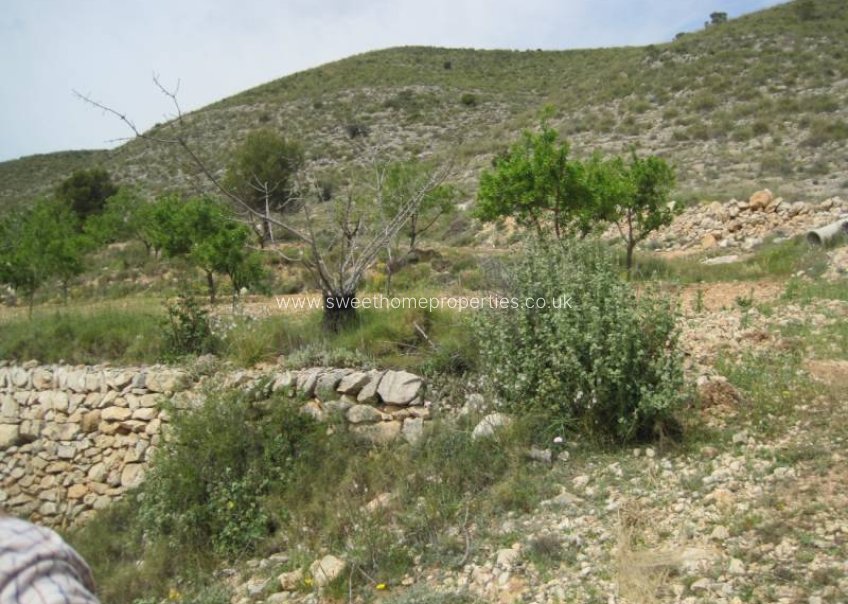 Herverkoop - Plot - Hondon De Las Nieves - REBALSO