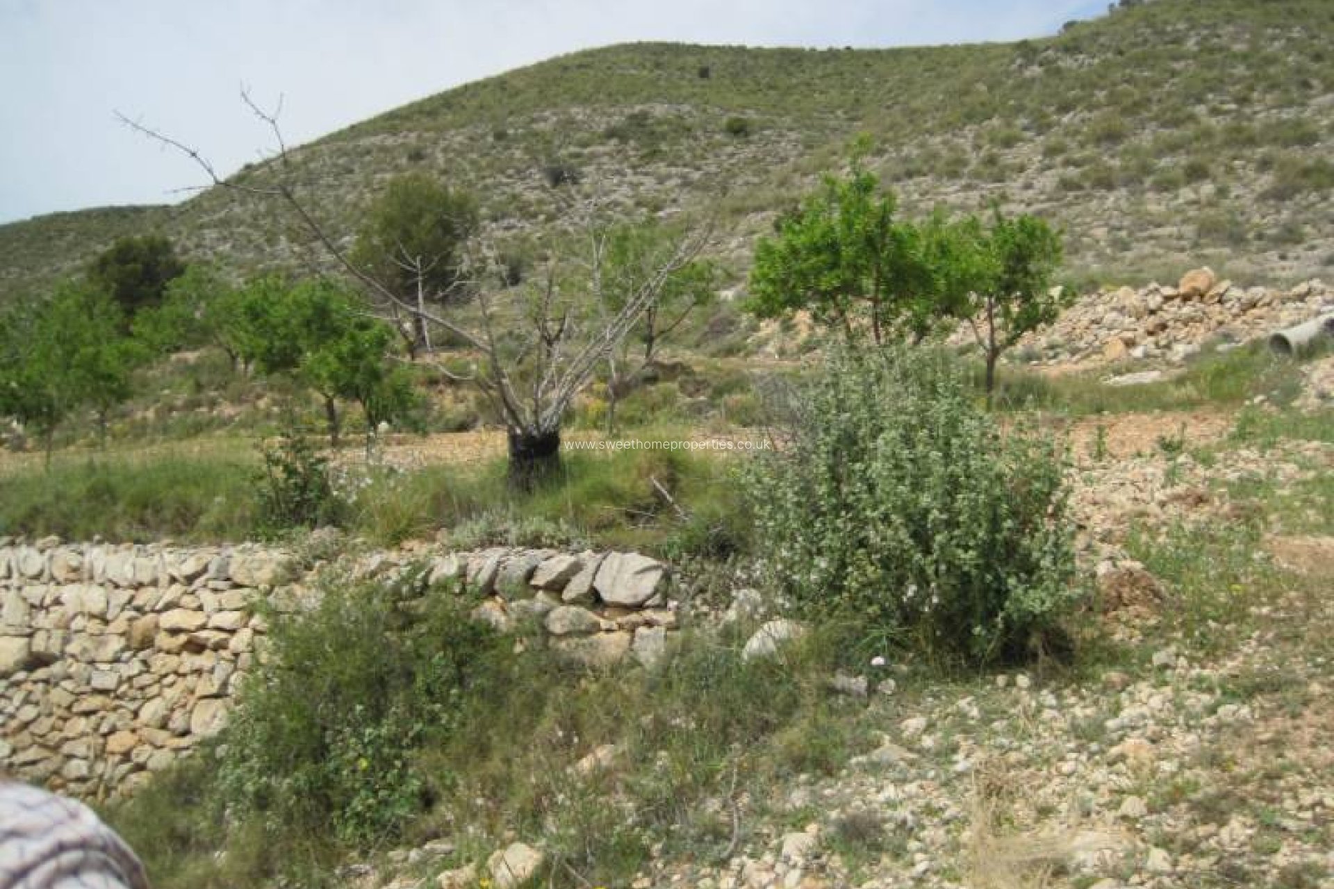 Herverkoop - Plot - Hondon De Las Nieves - REBALSO