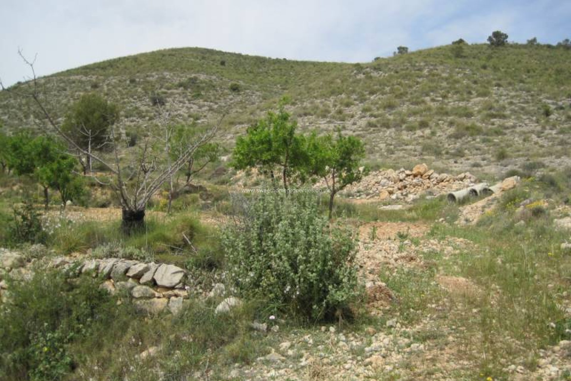 Herverkoop - Plot - Hondon De Las Nieves - REBALSO