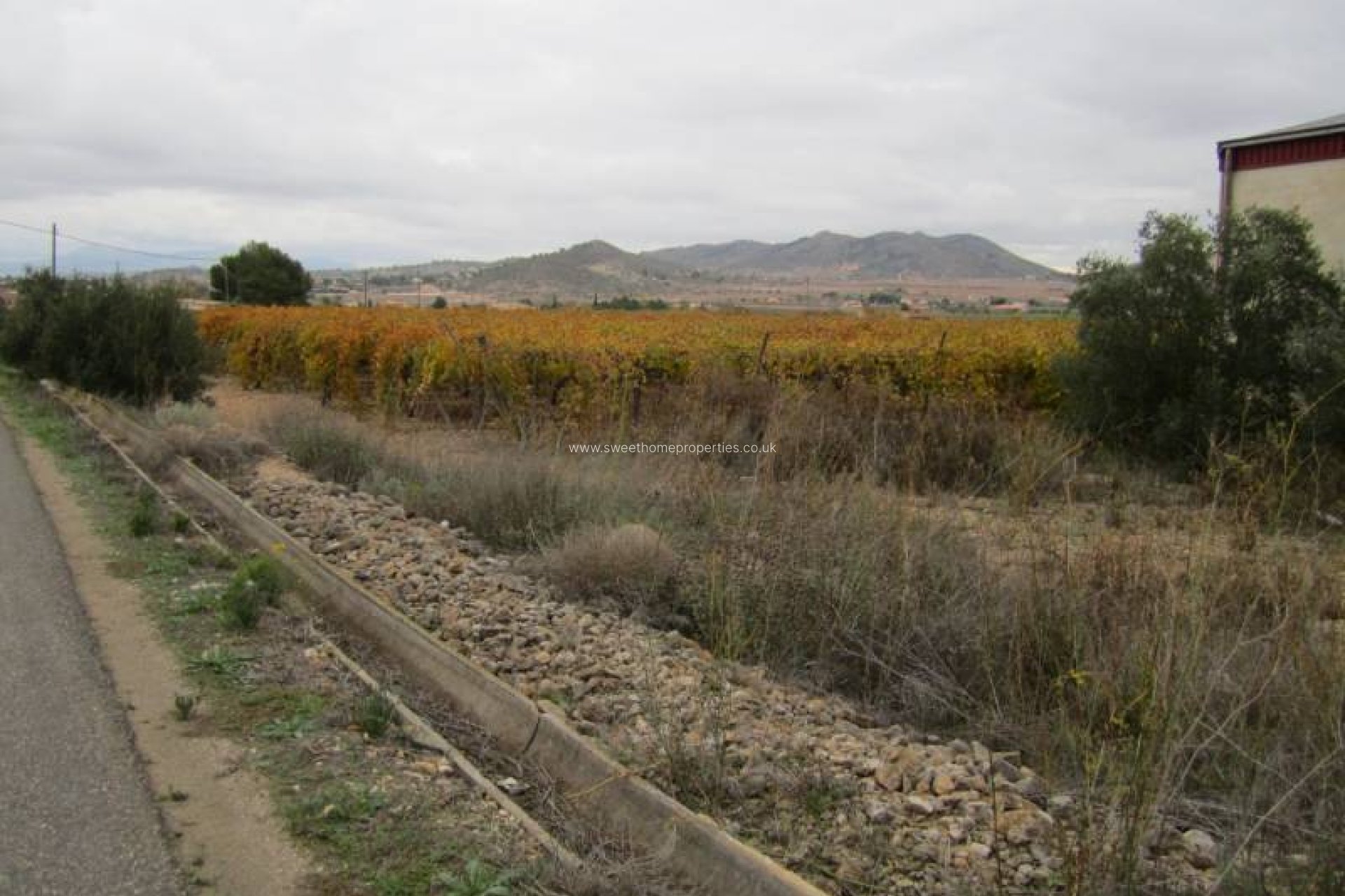 Herverkoop - Plot - Hondon De Las Nieves - SIMOLA