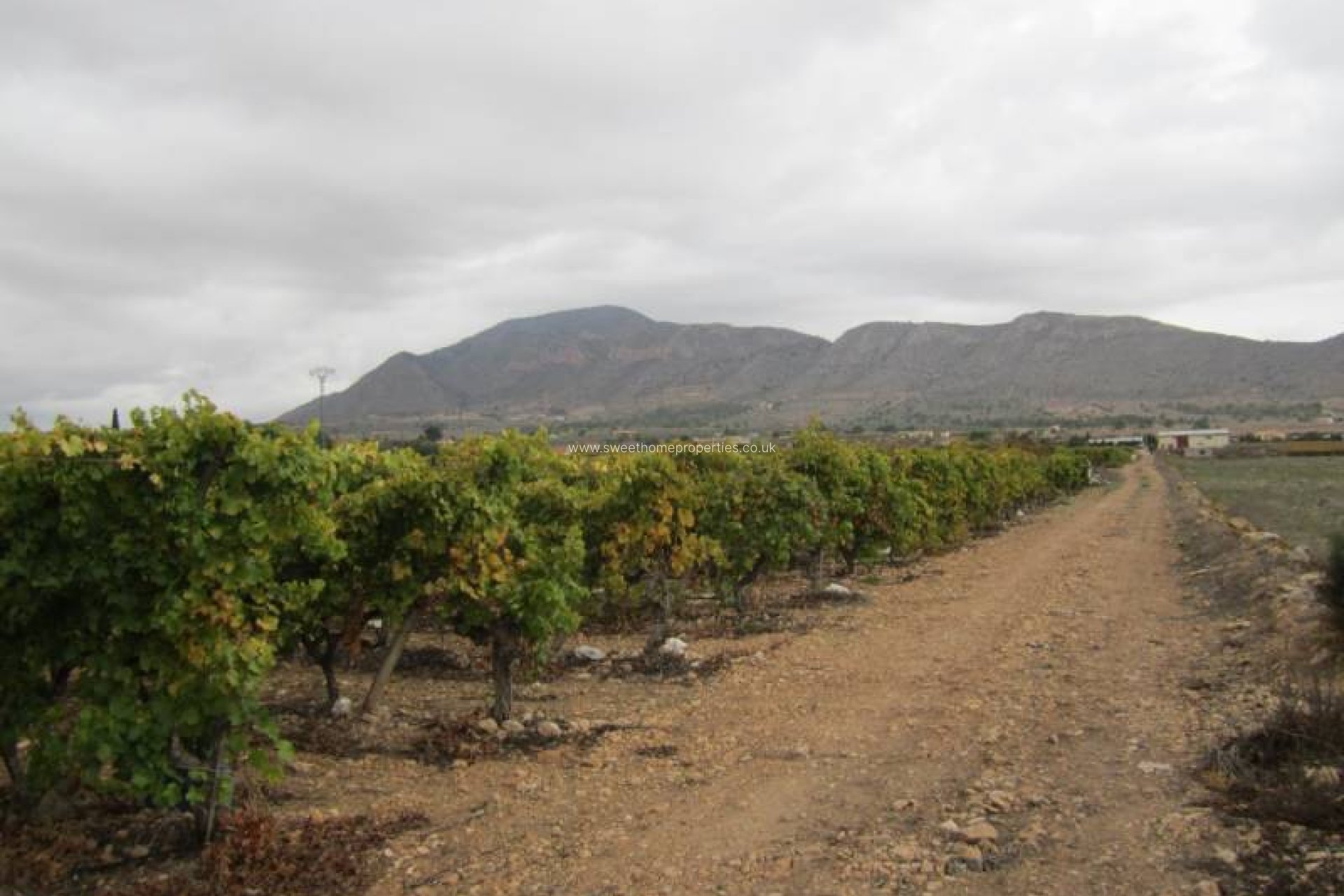 Herverkoop - Plot - Hondon De Las Nieves - SIMOLA