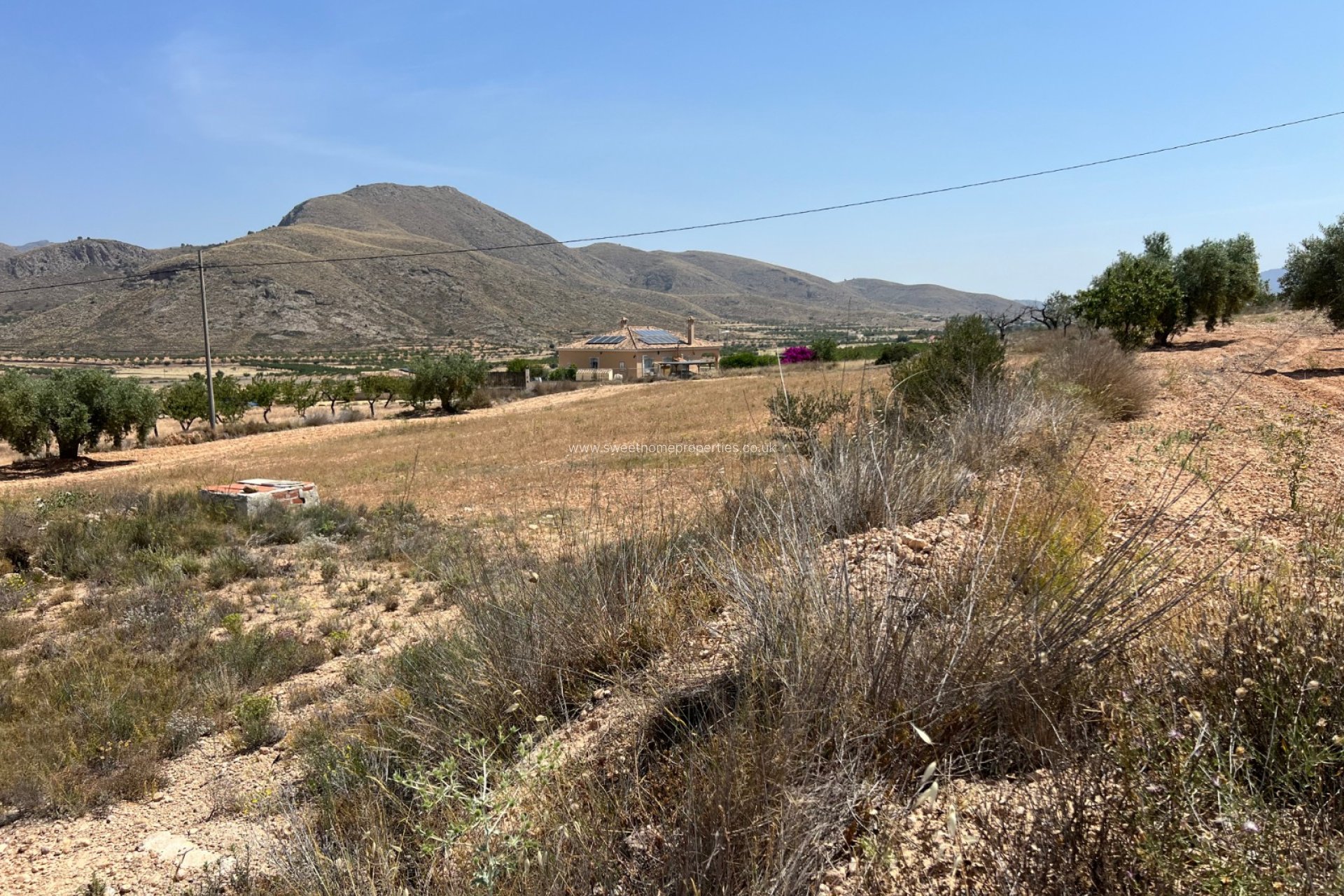 Herverkoop - Plot - Hondon De Los Frailes - Barbarroja