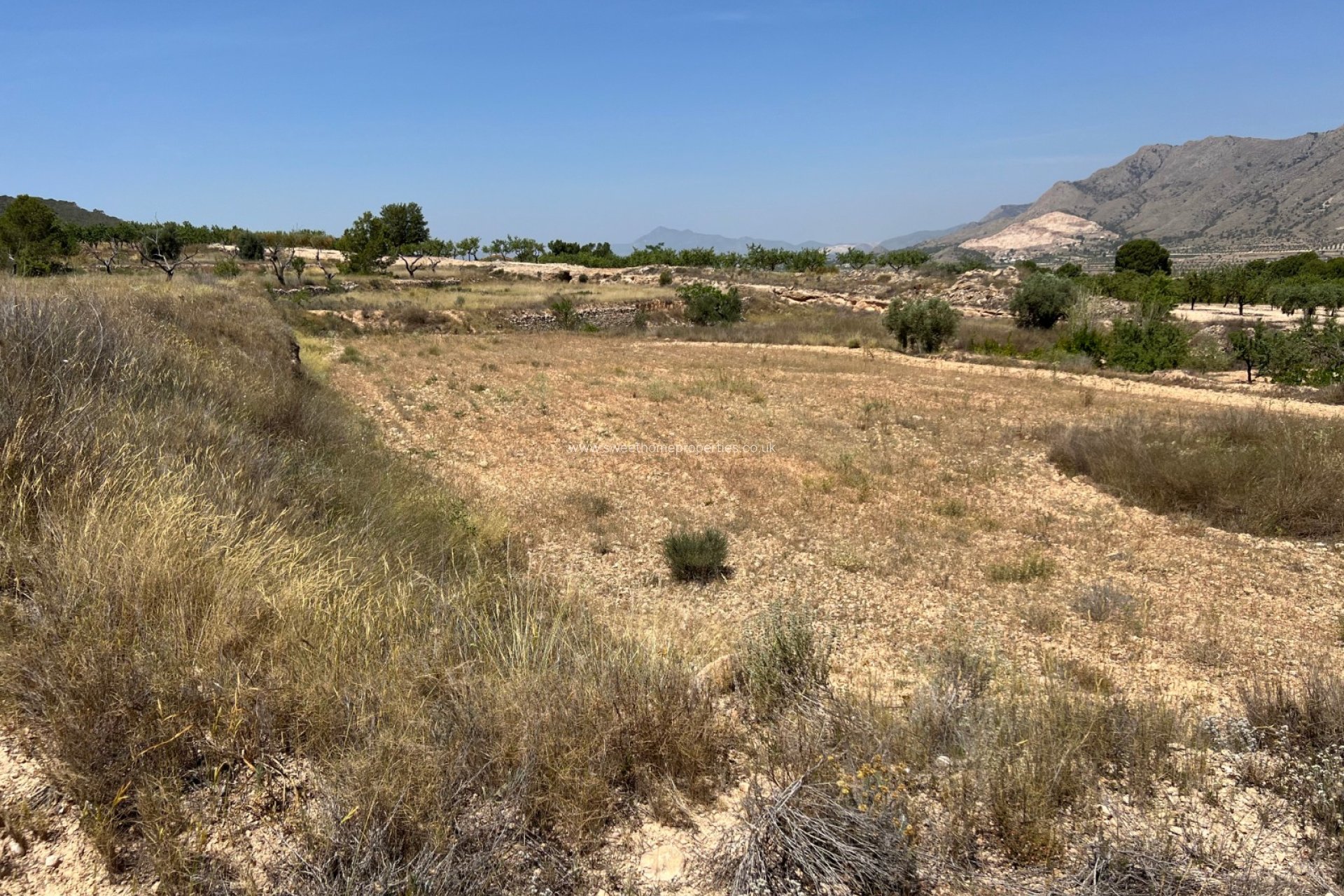 Herverkoop - Plot - Hondon De Los Frailes - Barbarroja