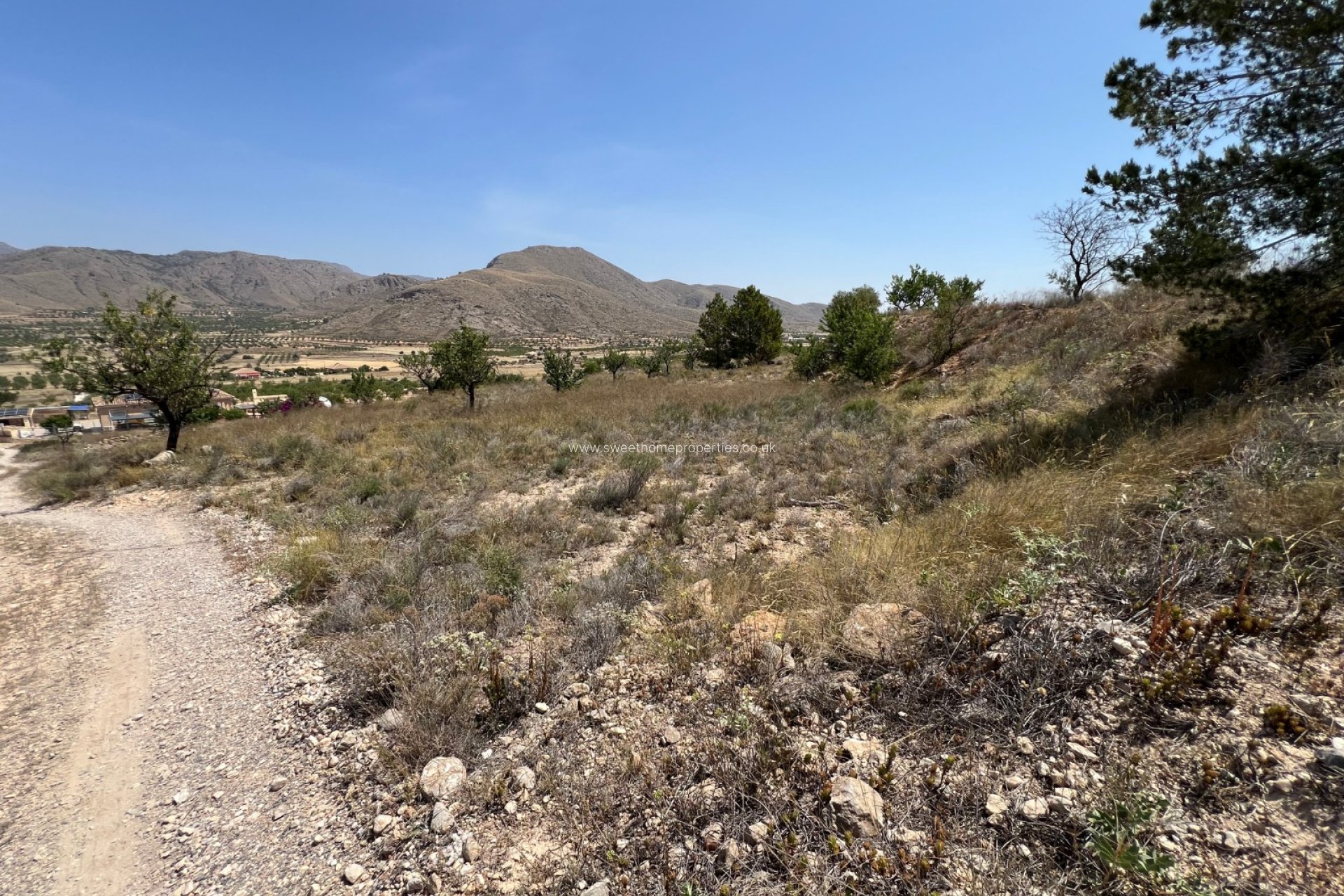 Herverkoop - Plot - Hondon De Los Frailes - Barbarroja