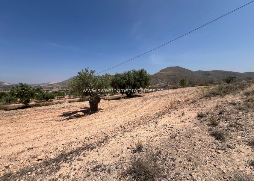 Herverkoop - Plot - Hondon De Los Frailes - Barbarroja
