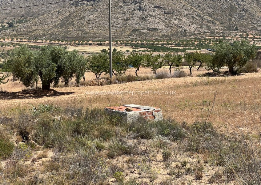 Herverkoop - Plot - Hondon De Los Frailes - Barbarroja