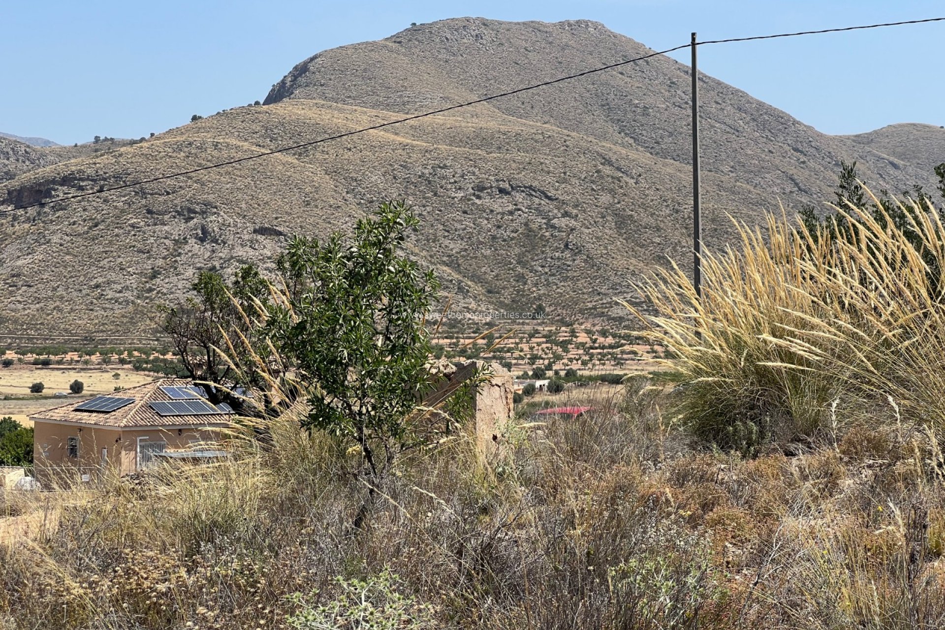 Herverkoop - Plot - Hondon De Los Frailes - Barbarroja