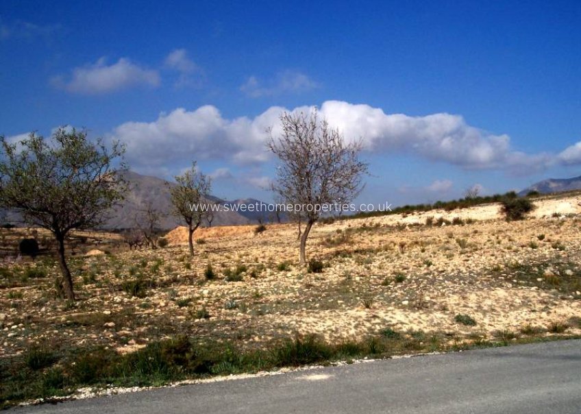 Herverkoop - Plot - Hondon De Los Frailes - LA MURADA