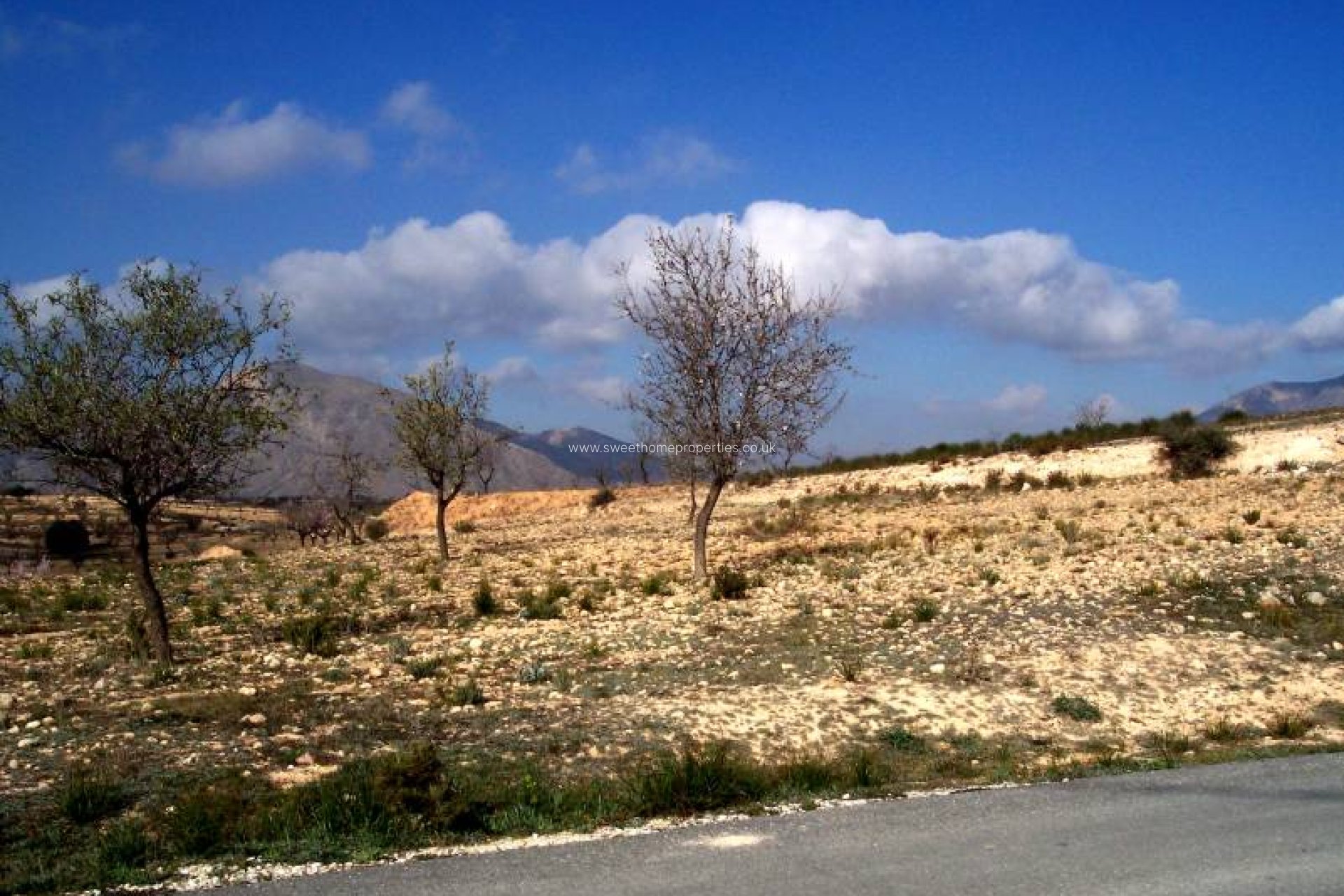 Herverkoop - Plot - Hondon De Los Frailes - LA MURADA