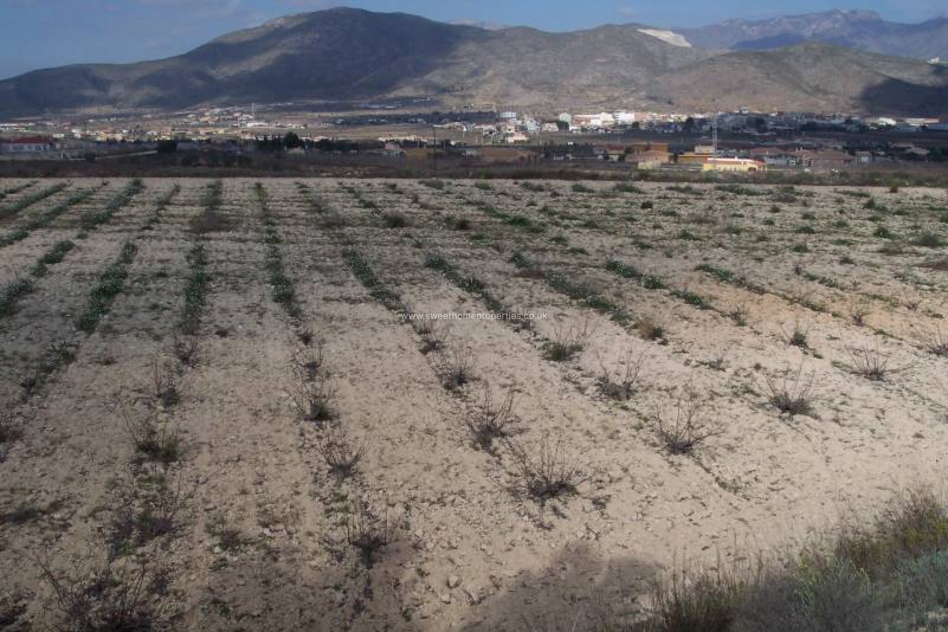 Herverkoop - Plot - Hondon De Los Frailes - MONTE ALTO