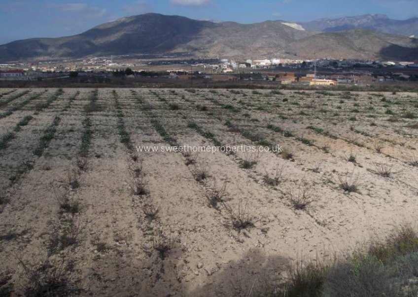 Herverkoop - Plot - Hondon De Los Frailes