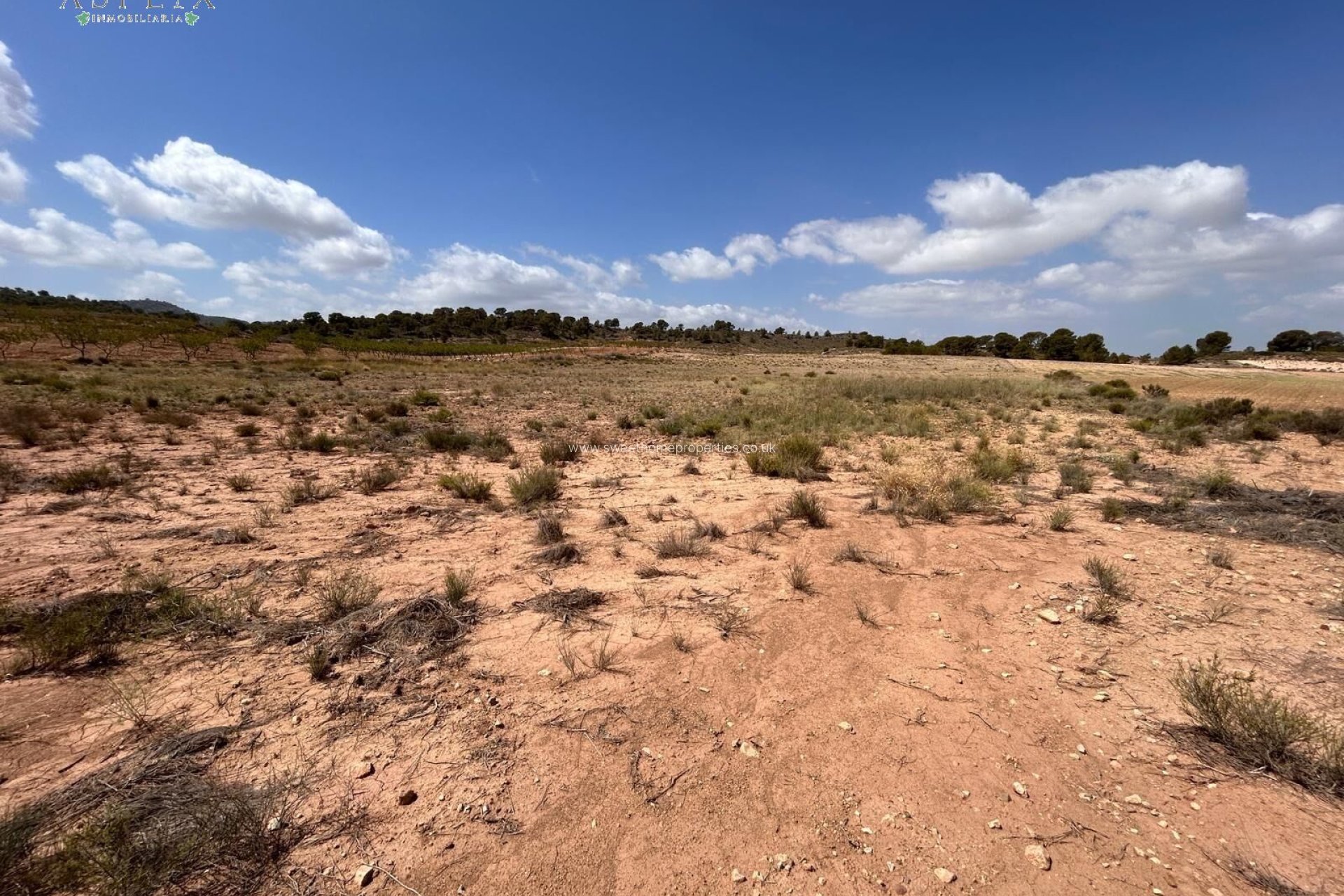 Herverkoop - Plot - Jumilla - JUMILLA RURAL