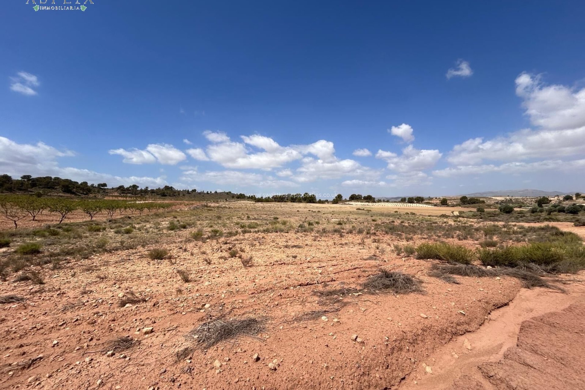 Herverkoop - Plot - Jumilla - JUMILLA RURAL