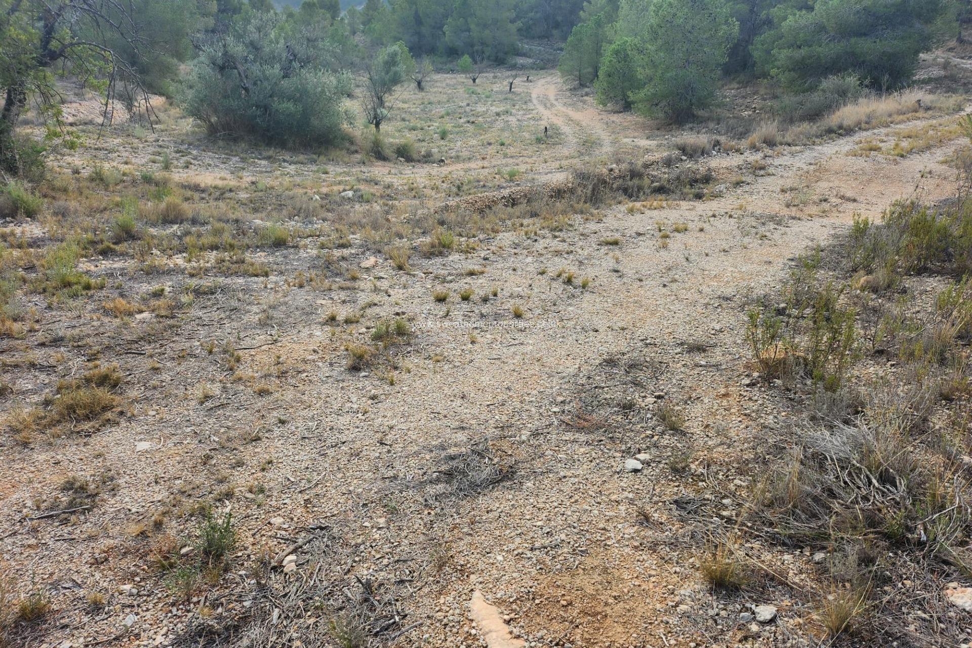 Herverkoop - Plot - La Romana - A diez minutos